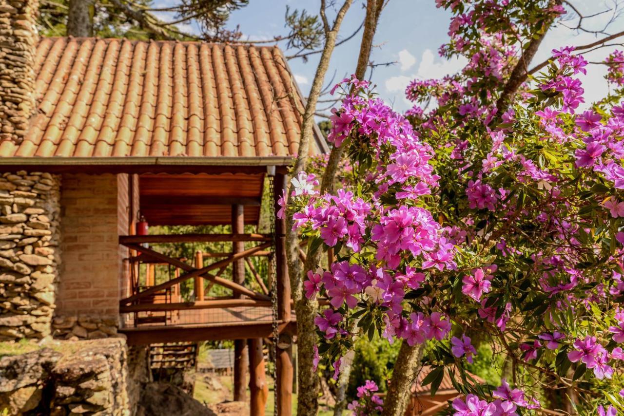 Chalés Araucária e Manacá São Bento do Sapucaí Extérieur photo