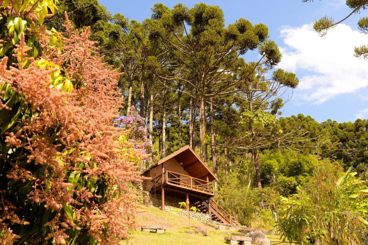 Chalés Araucária e Manacá São Bento do Sapucaí Extérieur photo