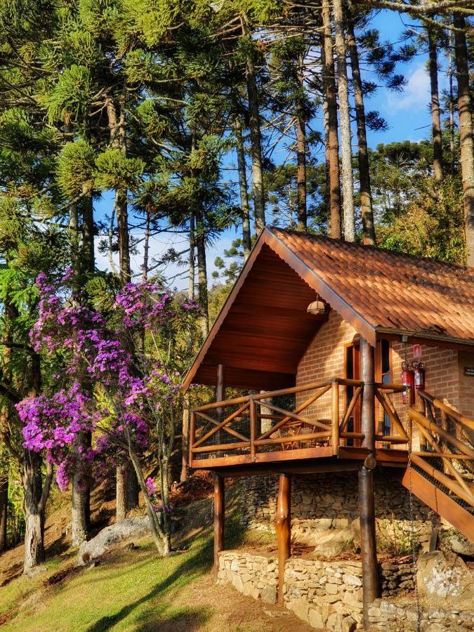 Chalés Araucária e Manacá São Bento do Sapucaí Extérieur photo