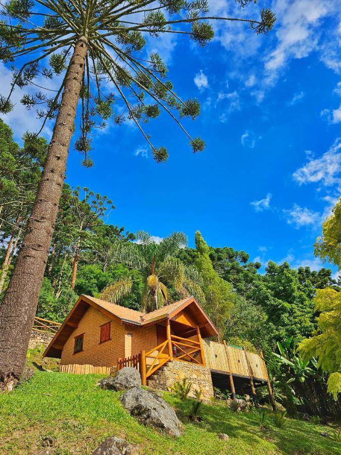 Chalés Araucária e Manacá São Bento do Sapucaí Extérieur photo