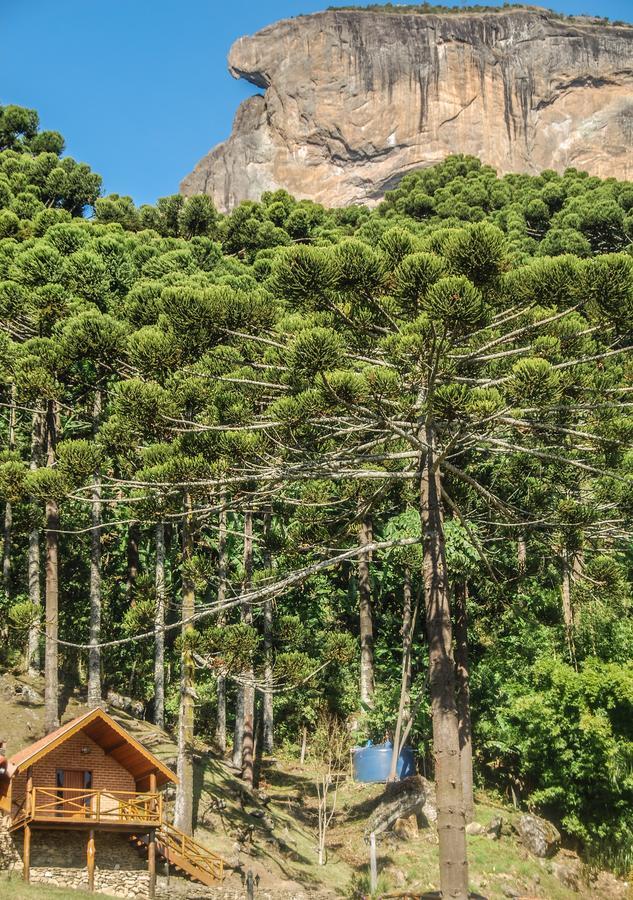 Chalés Araucária e Manacá São Bento do Sapucaí Extérieur photo